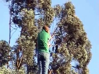 THE ROAD TO APOCALYPSE episode 9-Resistance(STRONG WARNING)