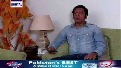 Bulbulay Episode 377
