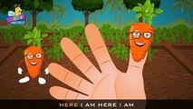 The Finger Family Carrot Family Nursery Rhyme | Fruit Finger Family Songs