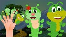 Finger Family Worm Family Nursery Rhyme | Animal Finger Family | Bug Finger Family