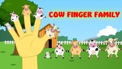 Finger Family Cow Family Nursery Rhyme | Funny Finger Family Songs For Children