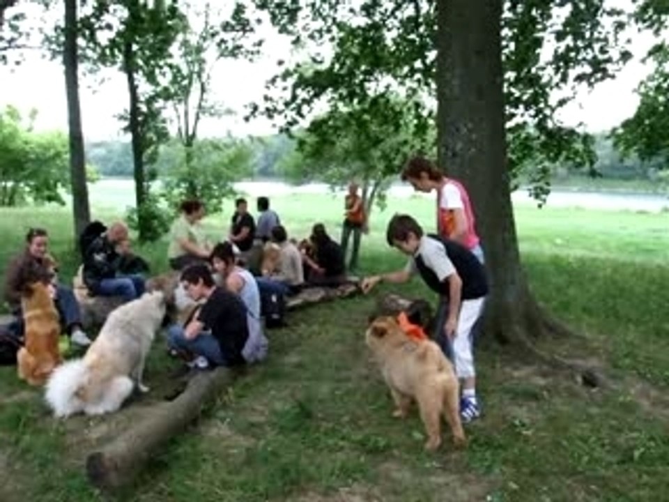 Rencontre Eurasier Vernaison Rhône