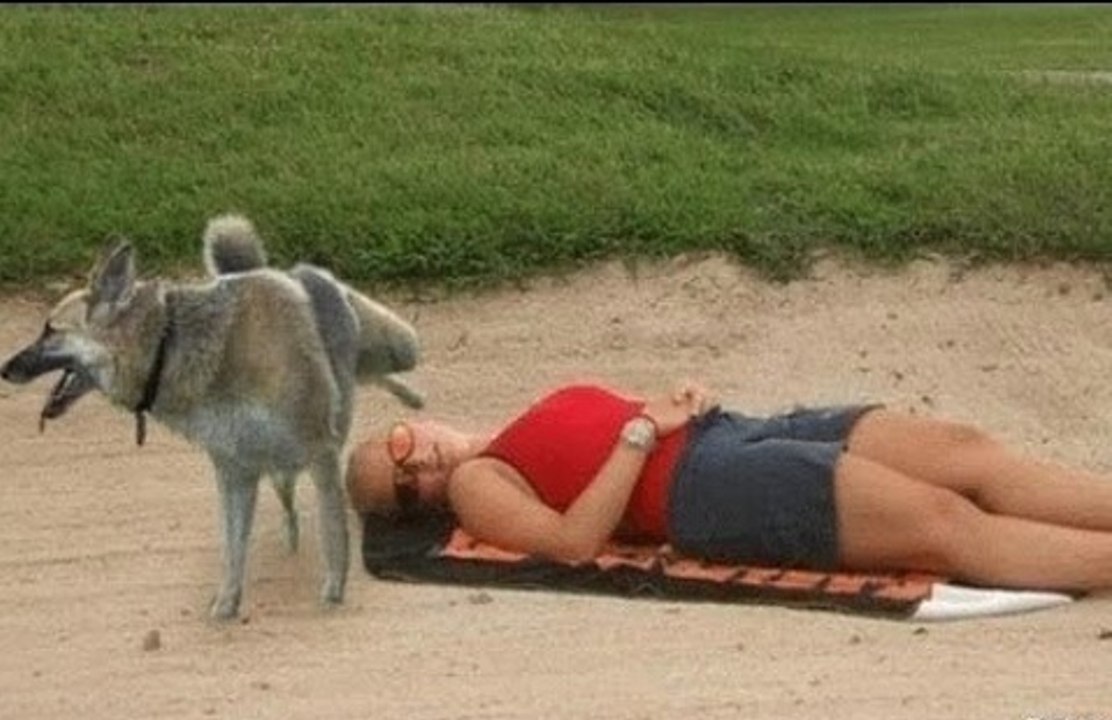 Funny Videos - Funniest Situations On The World Part 4