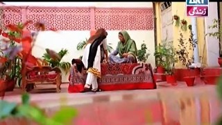 Behnein Aisi Bhi Hoti Hain Episode 344 ARY Zindagi Drama 9th December 2015