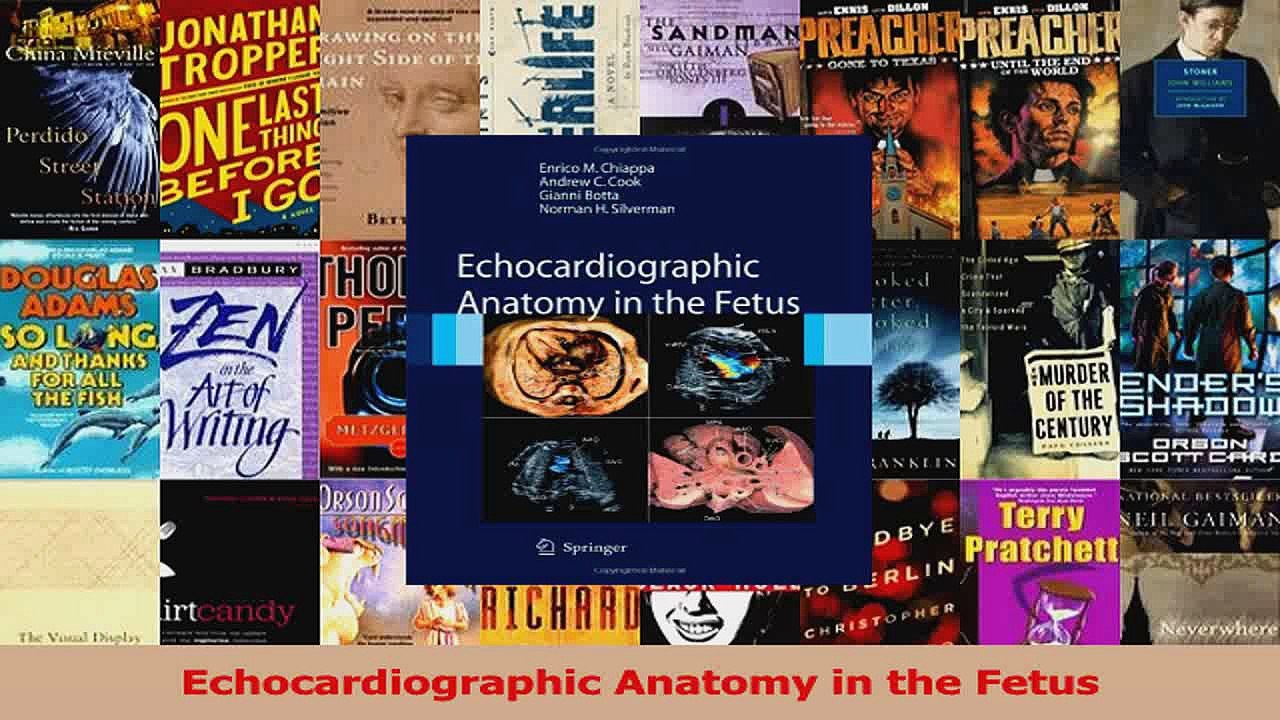 PDF Download  Echocardiographic Anatomy in the Fetus Download Full Ebook