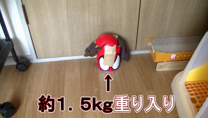 ハプニング発生！！まさかの『猫の復讐』？謀反を起こす【面白い＆可愛い行動猫】～Black cat of unexpected behavior～