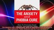 The Anxiety and Phobia Cure How To Overcome Social Anxiety Agoraphobia Panic Attacks and