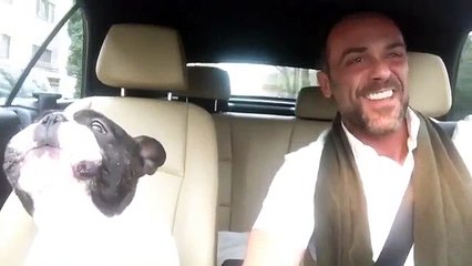 Like diamonds in the sky