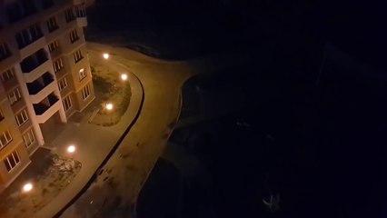 Если дворняжки мешают спать