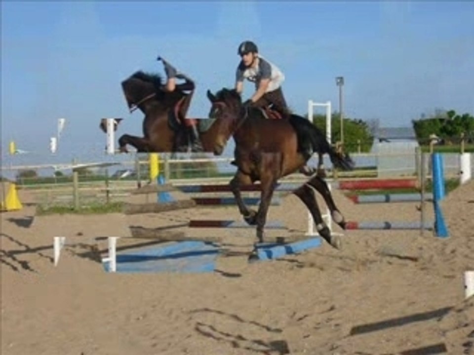 Maestro et narcisse_0001