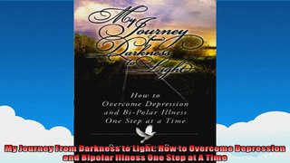 My Journey From Darkness to Light How to Overcome Depression and Bipolar Illness One Step