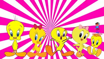 Finger Family Rhymes Tweety Bird Cartoon | Finger Family Nursery Rhymes for Children 3D An