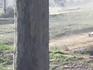 Départ kart cross 600 Villefranque 07