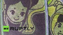 Japanese rice field turned into massive art canvas, wins Guinness record (drone footage)