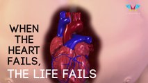 When The Heart Fails, The Life Fails