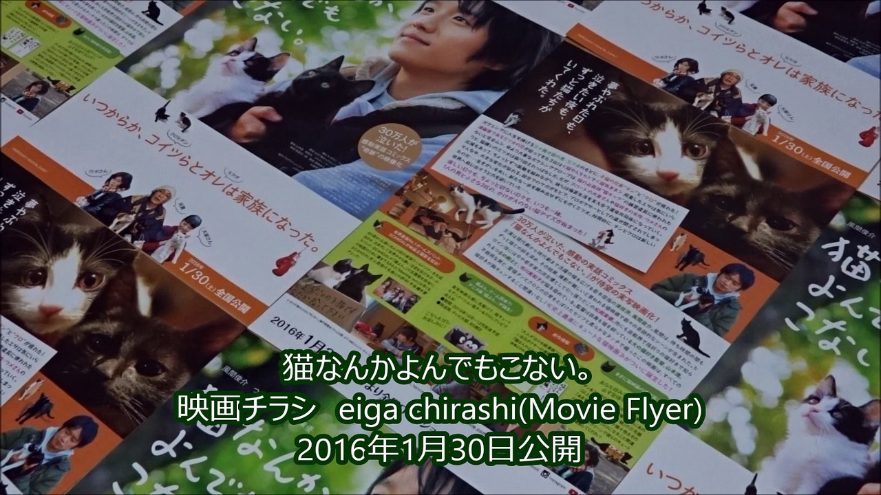 猫なんかよんでもこない。 2016 映画チラシ