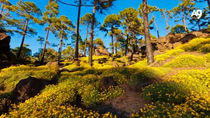 Çevremizde her saniye yaşanan mucizeler