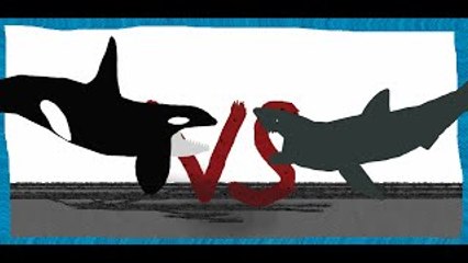 Pivot Battle Arena: Orca VS Great White shark
