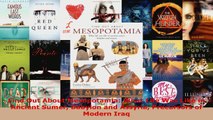 Download  Find Out About Mesopotamia What Life Was Like in Ancient Sumer Babylon and Assyria PDF Free