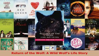 Read  Return of the Wolf A Wild Wolfs Life Story EBooks Online
