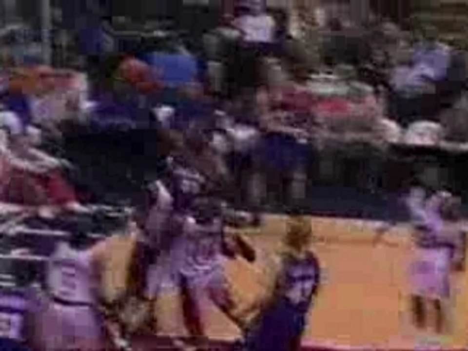 Amare Stoudamire Mix