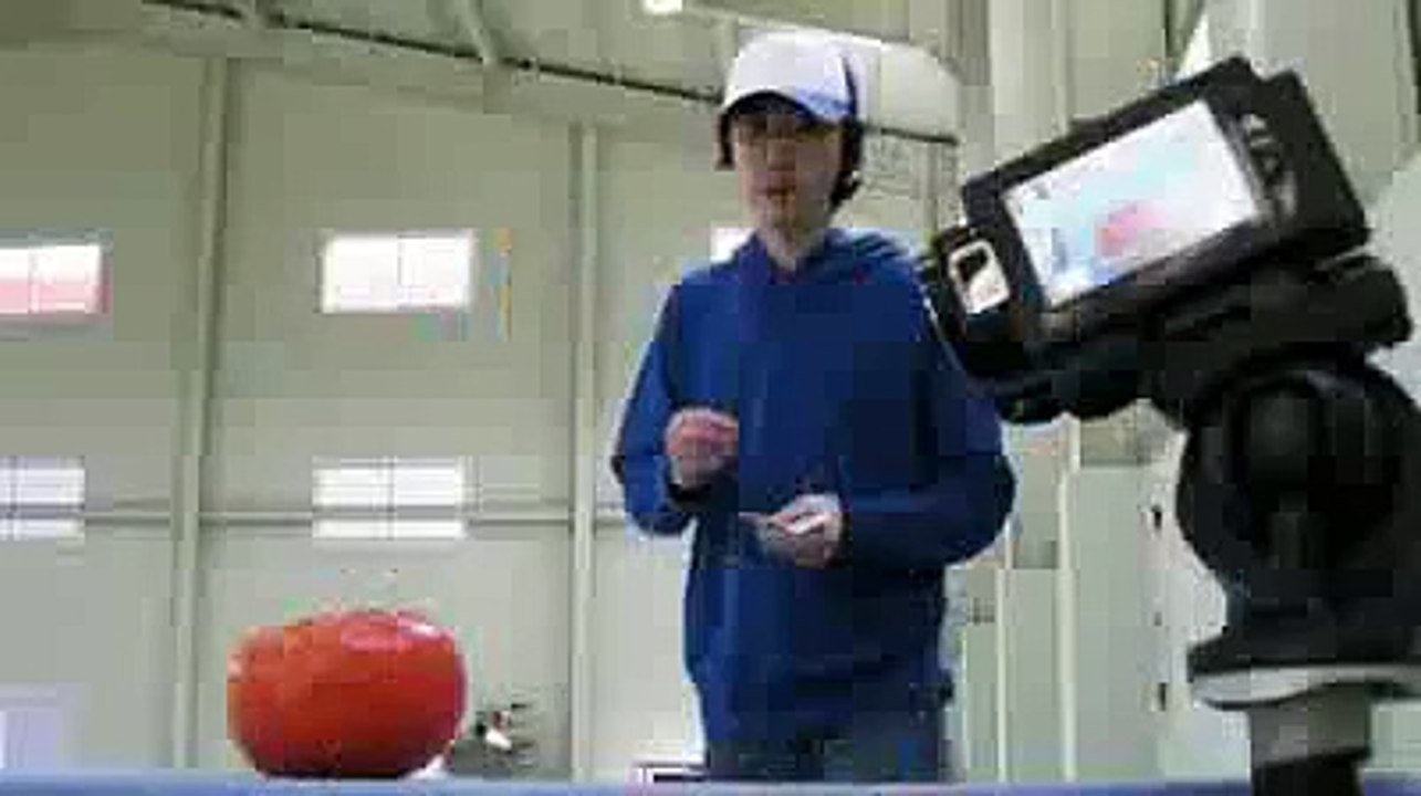 VID-funn maza