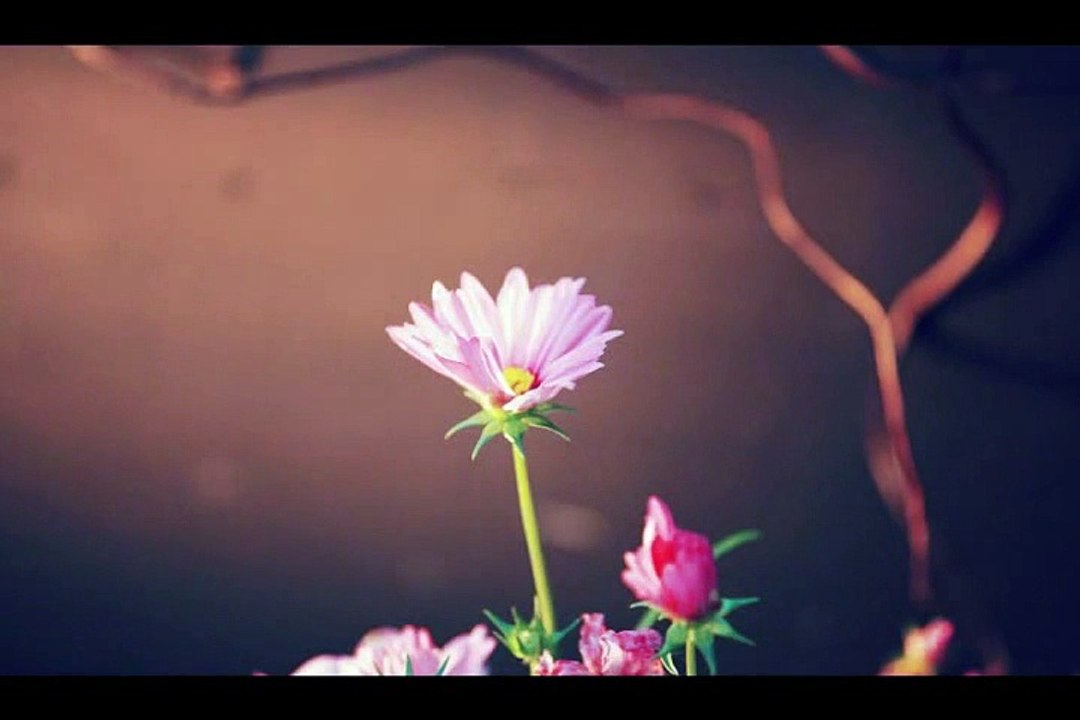 [이현] 서른 즈음에