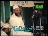 maulana abdul majeed nadeem shah