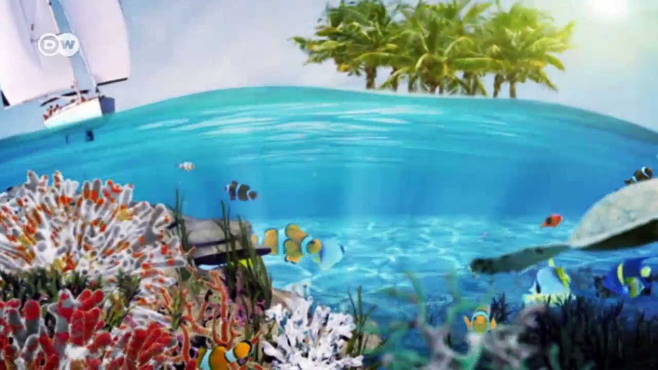 Artenschutz für Indiens Küsten | Global 3000