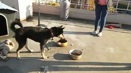 a~안산출장 안마*러블리마사지VIP【OlO↔2165↔2776】장하동, 반월동.사사동 지역만족보장서비스