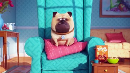 THE SECRET LIFE OF PETS Characters Trailer