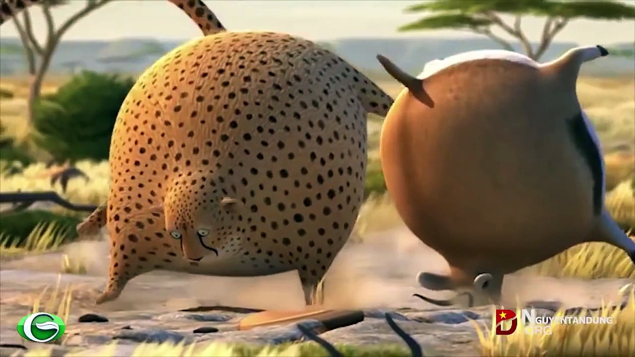 Hai huoc dong vat- Khi thế giới động vật béo phì