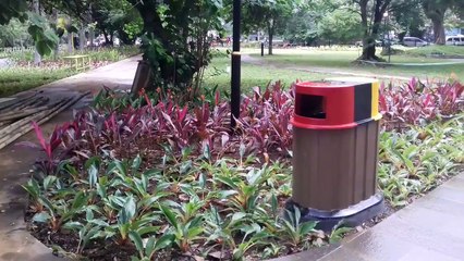 Ini Wajah Baru Taman Kencana Bogor