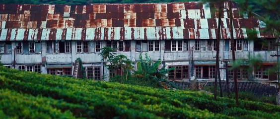 Shadow Man Malayalam Movie Offical Trailer