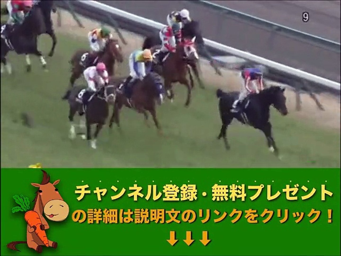 遠州灘特別 「競馬レース結果ハイライト」2015/12/13