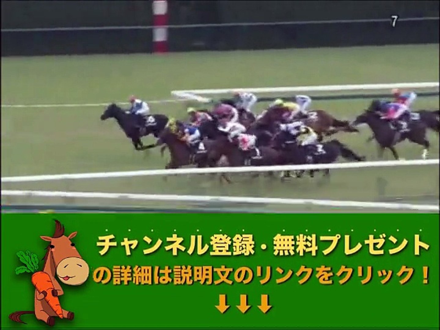 ⁣三河ステークス 「競馬レース結果ハイライト」2015/12/13