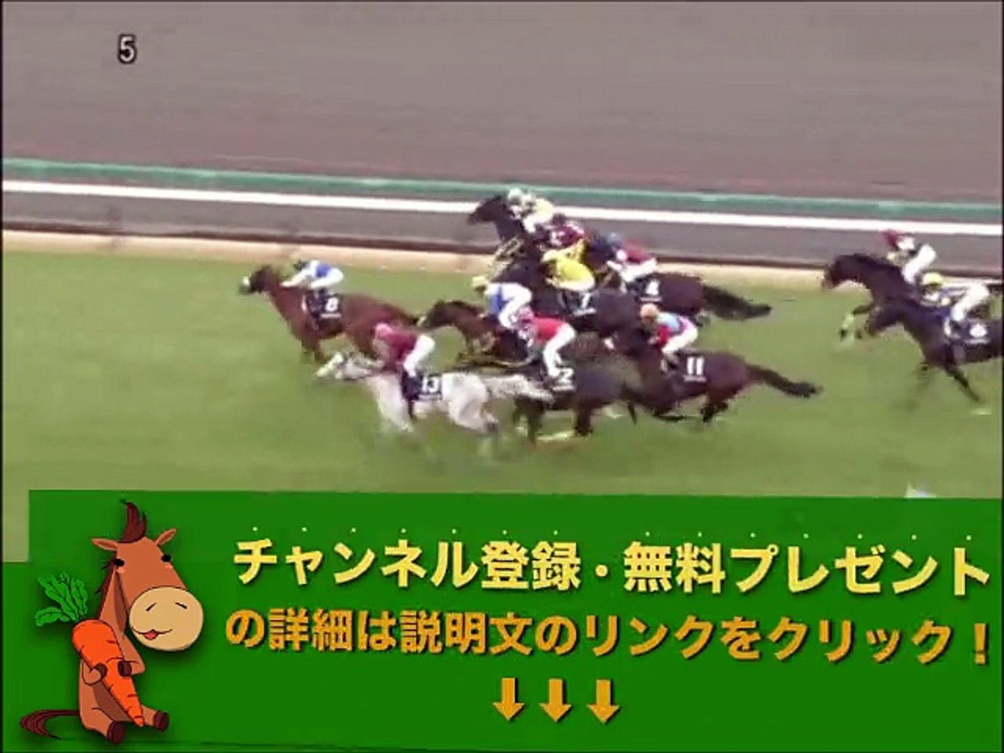 美浦ステークス 「競馬レース結果ハイライト」2015/12/13