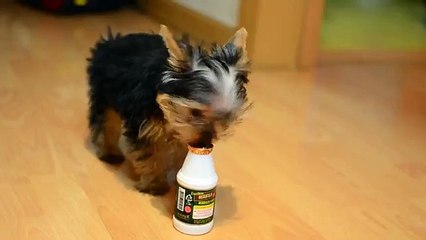 경기출장안마마사지(OlO↔2165↔2776)수원출장안마#안양출장안마#안산출장안마#분당출장안마#화성출장안마