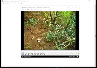 ilhados com bear grylls 2º temporada episodio 1