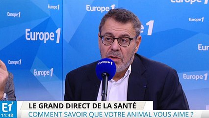 Réveillon de Noël : le saumon fumé du supermarché est-il vraiment bon ?