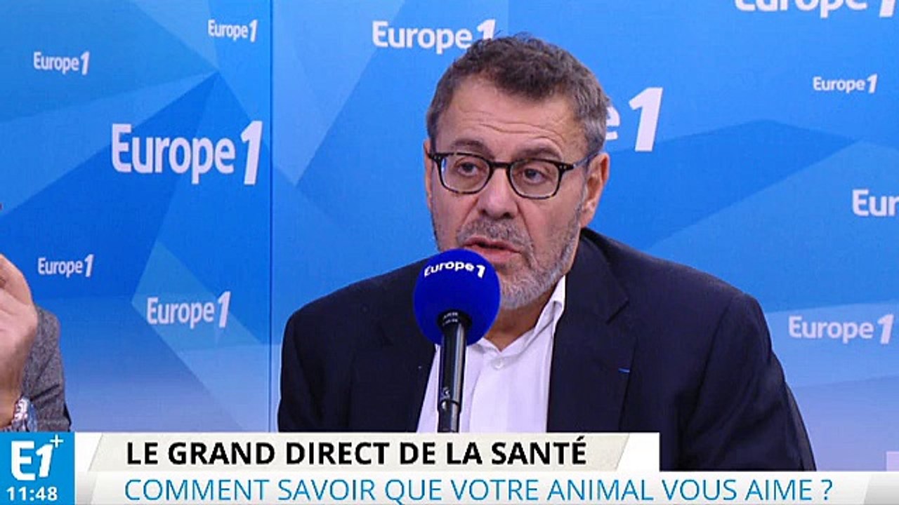 Réveillon de Noël : le saumon fumé du supermarché est-il vraiment bon ?