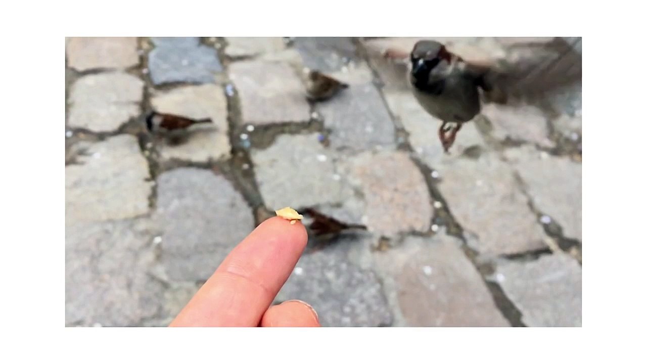 Shot on iPhone 6 by Antoine D.