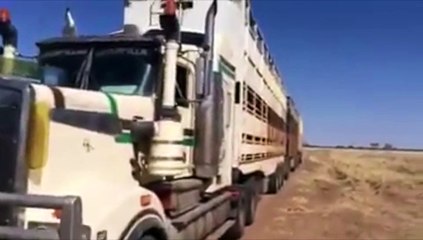 El camionero experto en abrir puertas sin parar el motor