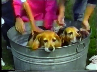 Sesame Street An Indoor Picnic with Bob