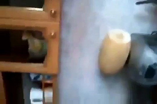 Вот такой вот попрошайка. Самые разные смешные и прикольные ситуации