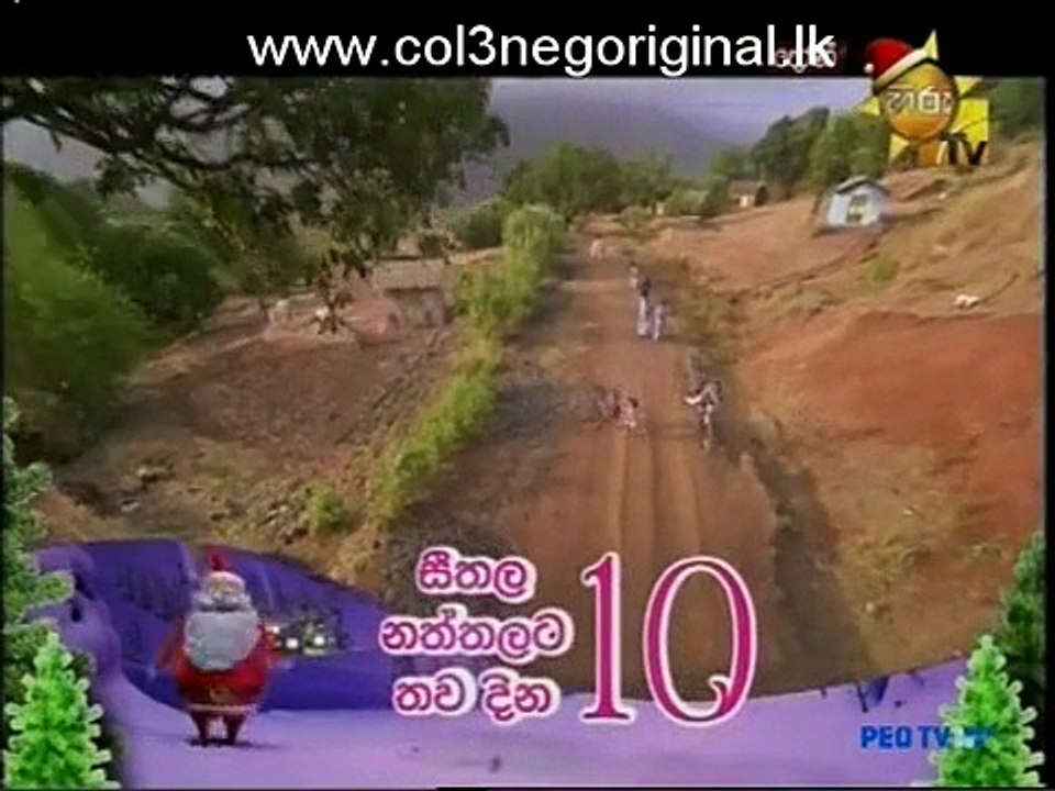 Dhoni (11)