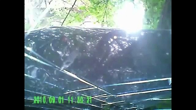 Происшествия на дорогах. Аварии, дтп, курьёзы.