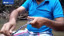 'Snake Ninja' puts poisonous frog and snake in his MOUTH!