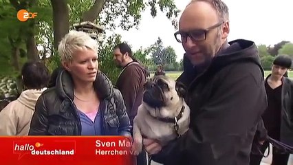 Pferde Chiropraktiker Tamme Hanken ( XXL Ostfriese )