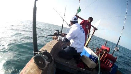 Salt water fishing: SGFA winning mac on taru